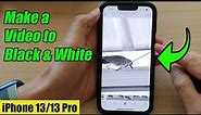 iPhone 13/13 Pro: How to Make a Video to Black & White
