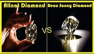 The Diamond Delights: Allnatt, Beau Sancy, Black Orlov, Excelsior's Sparkling Stories.
