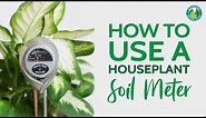 How To Use A Soil Moisture Meter To Care For Your Houseplants | Houseplant Resource Center