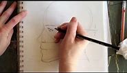 Facial Proportions PROFILE - DRAWING ESSENTIALS