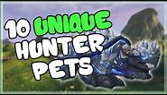 10 Unique and Cool Hunter Pets That AREN'T Spirit Beasts for World of Warcraft