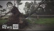 Cyclone Debbie smashes into Queensland coast