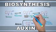 Biosynthesis of Auxin