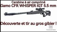 test carabine à air comprimé Gamo CFR WHISPER IGT 5.5 mm.