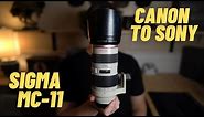 Using Canon EF lenses on Sony A7III with Sigma MC-11