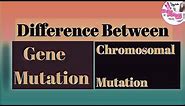 Difference Between Gene Mutation & Chromosomal mutation | shinebiology |by KP