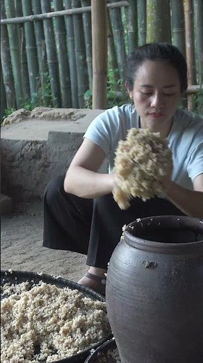 the rice wine fermentation process for distilling high-quality spirits