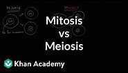 Comparing mitosis and meiosis | Cells | MCAT | Khan Academy