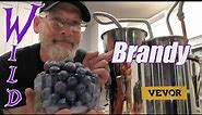 🍇Wild Muscadine Grape Brandy + VEVOR Pot Still REVIEW!