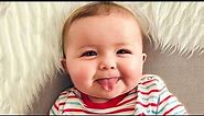 Funny Baby Videos - The Cutest Chubby Baby Compilation