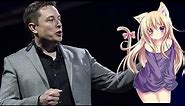 Elon Musk talks about his genetically engineered catgirls