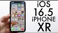 iOS 16.5 On iPhone XR! (Review)