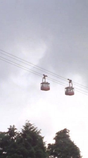 270K views · 5K reactions | Atom Heart Mother Special Edition on CD & Blu Ray featuring footage of “Atom Heart Mother” (Suite) performed at Hakone Aphrodite Festival, #Japan in August 1971 will be released on December 8 and available to pre-order here: pinkfloyd.lnk.to/AtomHeartMotherHakone #PinkFloyd #AtomHeartMother #Hakone #FYP | Pink Floyd | Facebook