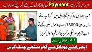 Ehsaas Program 13000 check method 2024||How to check your own payments from ehsas kafalat program