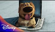 Up Anniversary: Dug's Iconic Moments | Disney