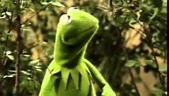 Muppets - Kermit - Its not easy being green (original)