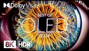 NATURE IN THE EYES OF 8K Dolby Vision® HDR (BEST OF OLED)
