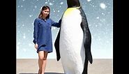 6 Feet Tall Penguins 40 Million Years Ago | UNKNOWN FACTS | A2Z