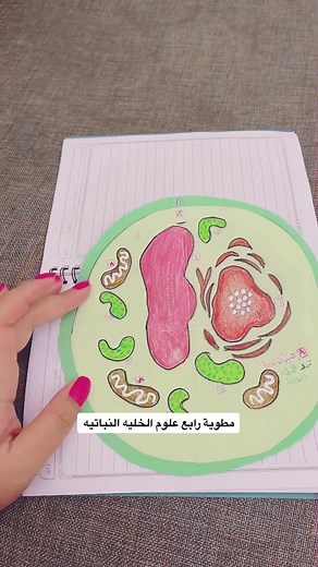 مطوية رابع علوم الخلية النباتية
