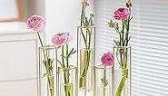 nother Bigsee Test Tube Vase for Flowers, Glass Vase with Metal Stand Racks Hydroponic Test TubeVase Set of 5, Gold Hinged Plant Vases Display Set Table Centerpieces Vase for Home Decor (Gold)