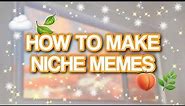 How to make NICHE MEMES // Editing Tutorial