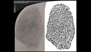 How I Edit Fingerprints for Custom Fingerprint Jewelry