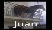 Juan meme. Juan Horse meme. Juan memes compilation.