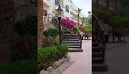 Hotel Bella Vista in Hurghada. The garden and the sea. 4.06.2023
