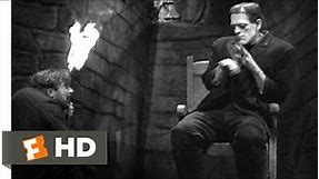 Frankenstein (4/8) Movie CLIP - The Monster Meets Fire (1931) HD