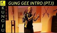 The First Moves in HUNG GAR Kung Fu! (Part 1)