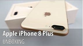 iPhone 8 Plus Unboxing (Apple 2017 5.5 inch Phone With Dual Camera)