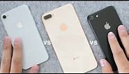 iPhone 8: Silver or Gold or Black? In-Depth Color Comparison!