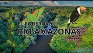 El Poderoso Río Amazonas: Datos, Selva y Conservación