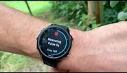 Garmin Forerunner 245 Music GPS Watch Review