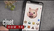 How to use animoji on on iPhone X (CNET How To)