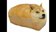 Doge Wants To Make Bread