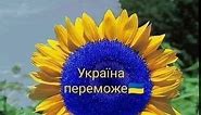 Все ####буде##Украіна####