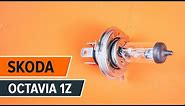 How to change a headlight lamp bulb on SKODA OCTAVIA 2 (1Z3) TUTORIAL | AUTODOC