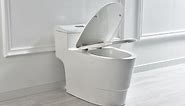 WOODBRIDGE 1-piece 1.28 GPF Conserver High Efficiency Dual Flush All-in-One Toilet with Soft Closed Seat Included in White HB0735