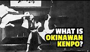 The Dynamic Art of Okinawan Kempo