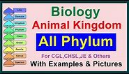 All Phylum || Kingdom Animalia || Biology