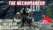 GUILD WARS 2: The Necromancer - Detailed Class Guide [What Profession (Class) Should I Play?]