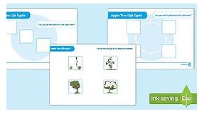 Apple Tree Life Cycle Worksheets - Stages of an apple tree