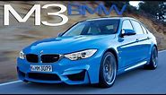 New BMW M3 Track Test Drive ★ LOVELY Sound ★