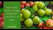 How Many Types of Apples Are There? And Which Is Best?