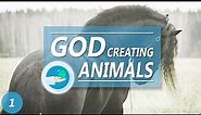 GOD CREATING ANIMALS