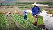 Harnessing Vietnam’s Agricultural Potential