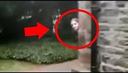 Real Ghost Caught On Camera? Top 5 Scary Haunted Houses