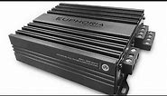 Nvs Audio’s review of the Euphoria Xpert EX 800 watt amplifier ( technically 1600 watts )