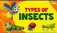 Names of Insects | Types of Insects for Kids | Various Bugs and Insects | Science Educational Video